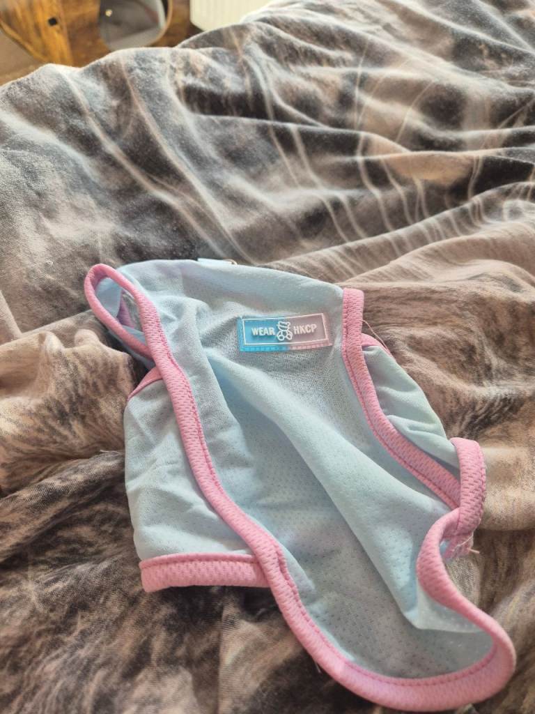 Cooling vest for cats 