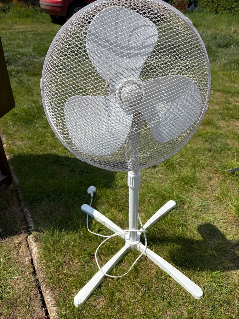 White fan