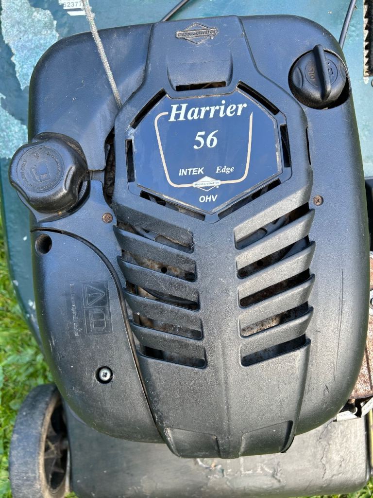 Hayter 56 