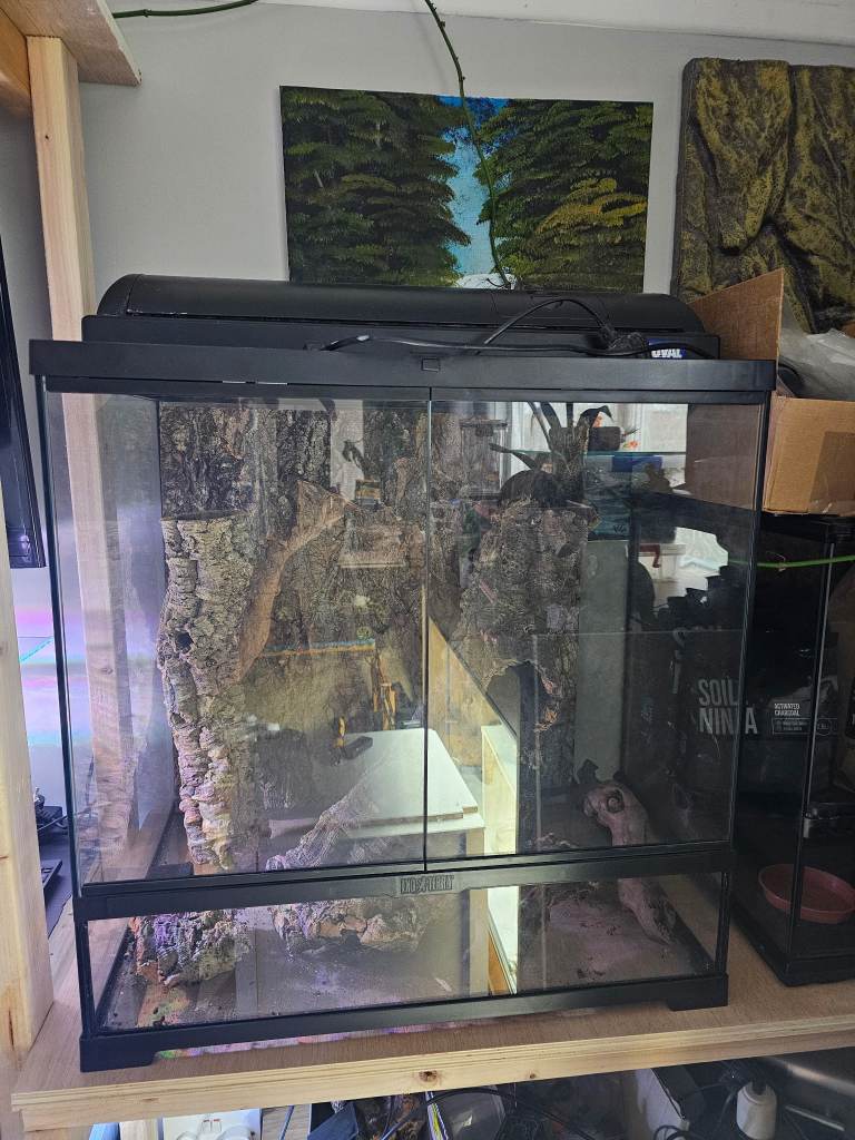 Medium Tall Exo terra pro 60 x 45 x 60 *Like New*