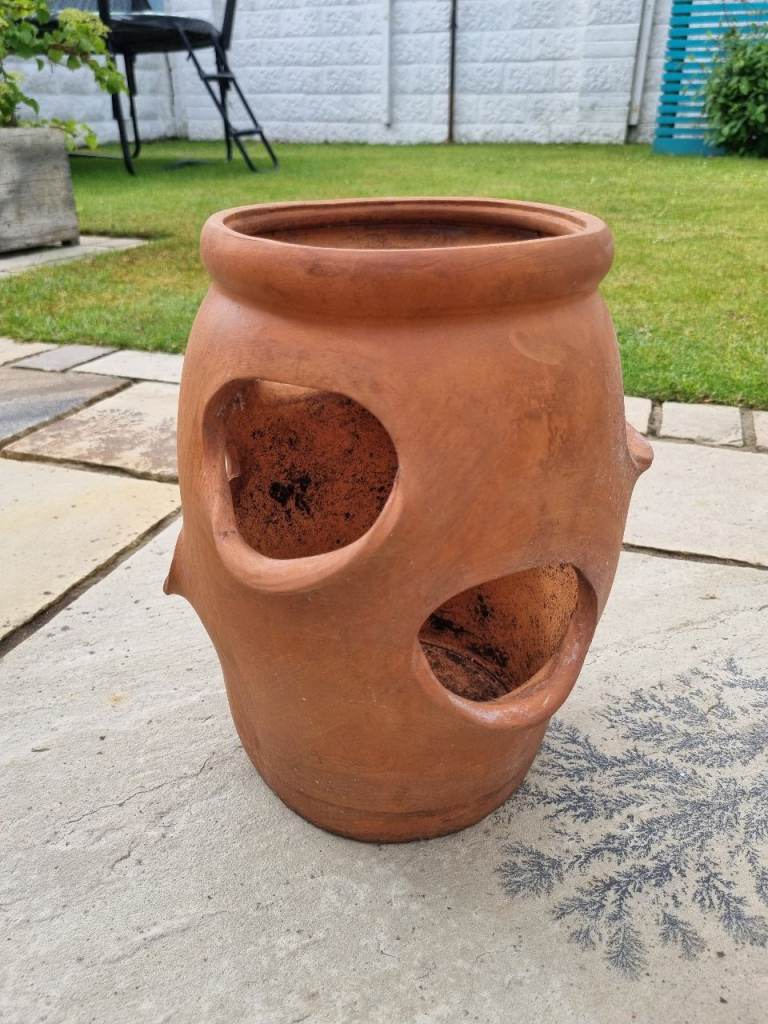Sweet terracotta strawberry planter