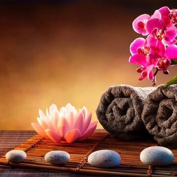 Newcastle City Centre Professional Massage Therapist