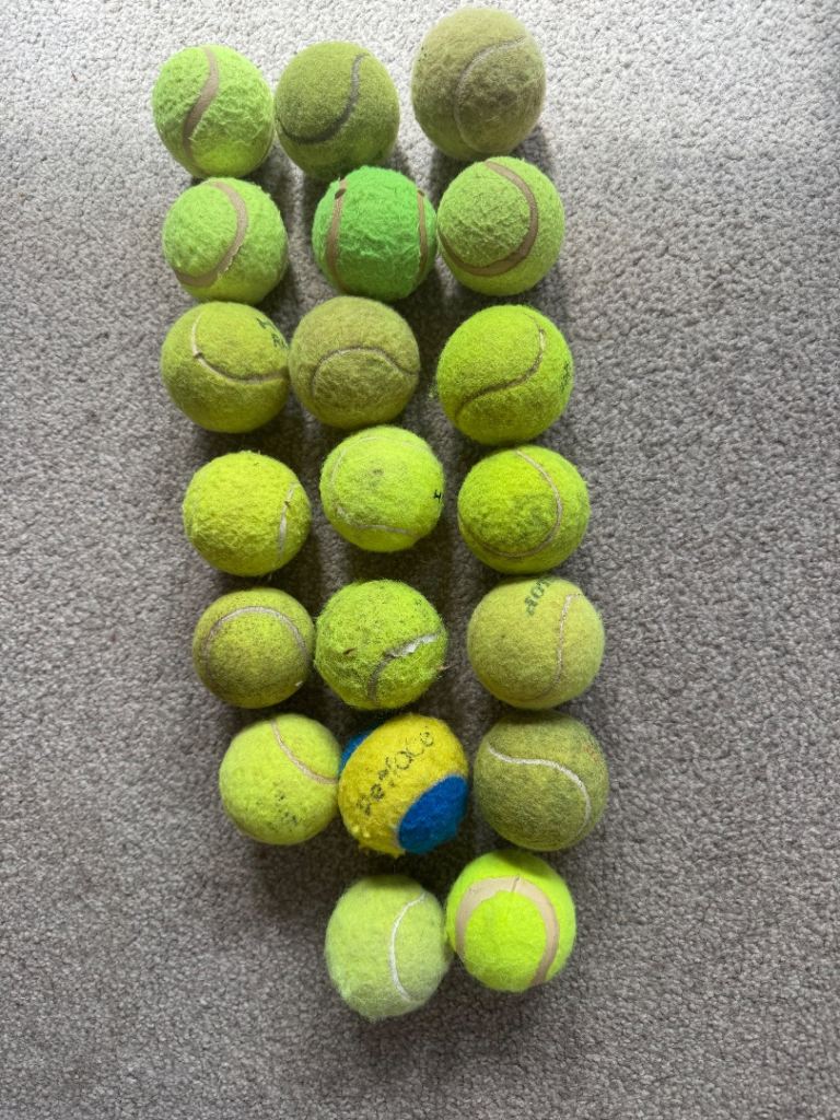 20x tennis balls for dogs