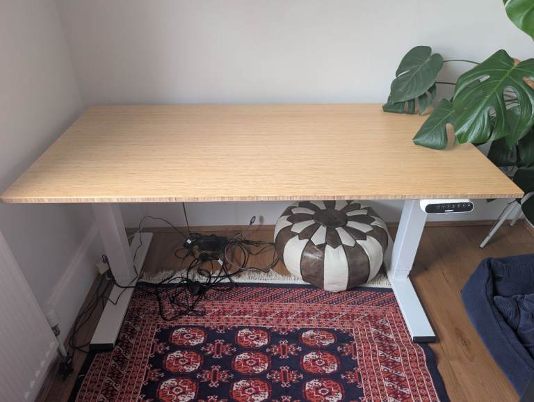 FlexiSpot EQ5 Electric Standing Desk – Bamboo Top, White Frame - 70x140cm