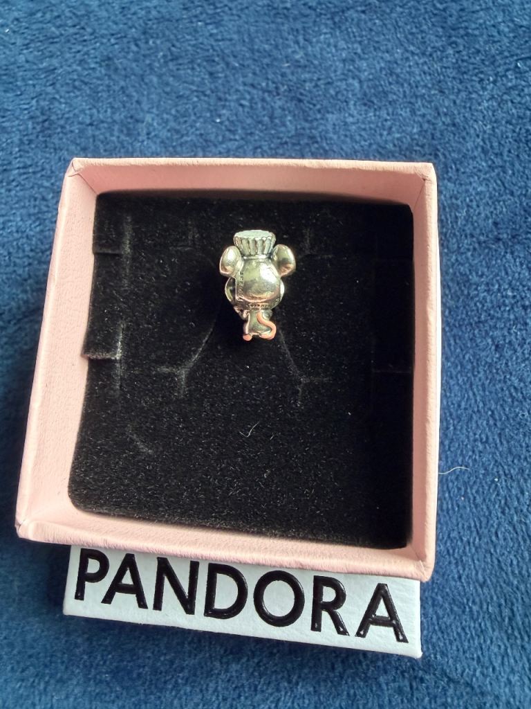 Pandora silver charms/ bracelet - can be set 