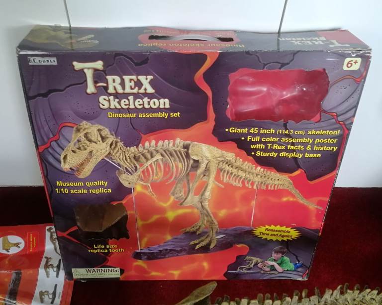 T-REX SKELETON 45"long Dinosaur Model kit 1/10 Scale Building STEM by B.C. Bones