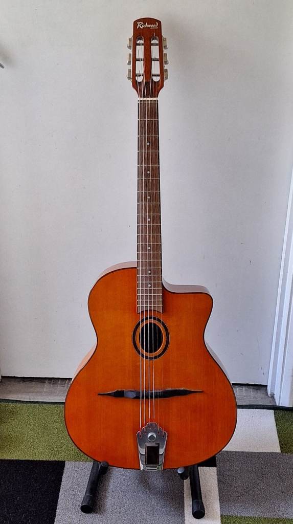 Acoustic Guitar 