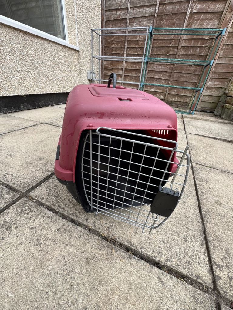 Pet carrier 