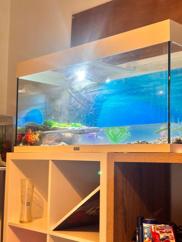 Fish tank 