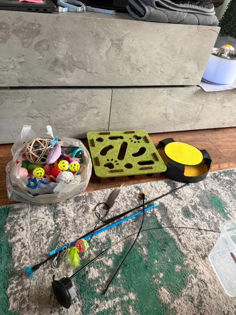 Big Bundle of Cat toys