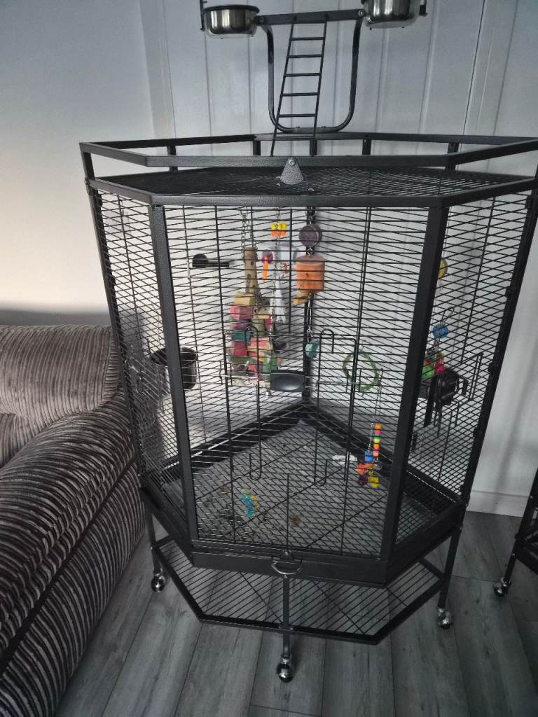 Corner parrot cage