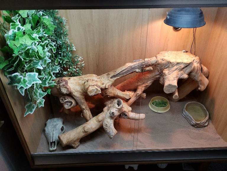 Vivarium 
