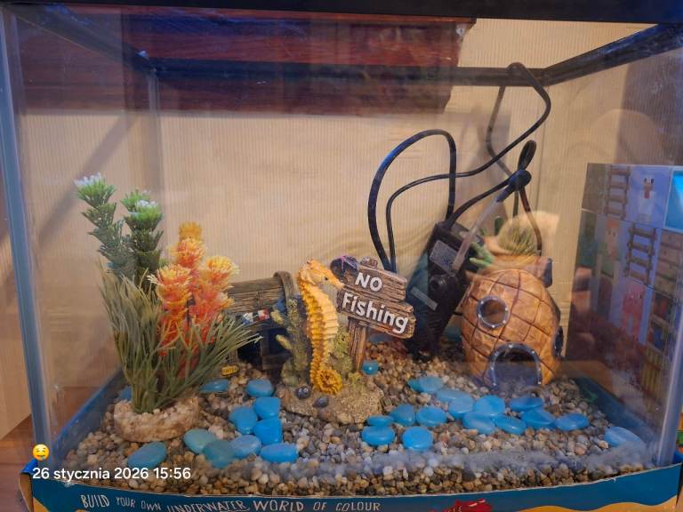  Fish Aquarium with Filter 