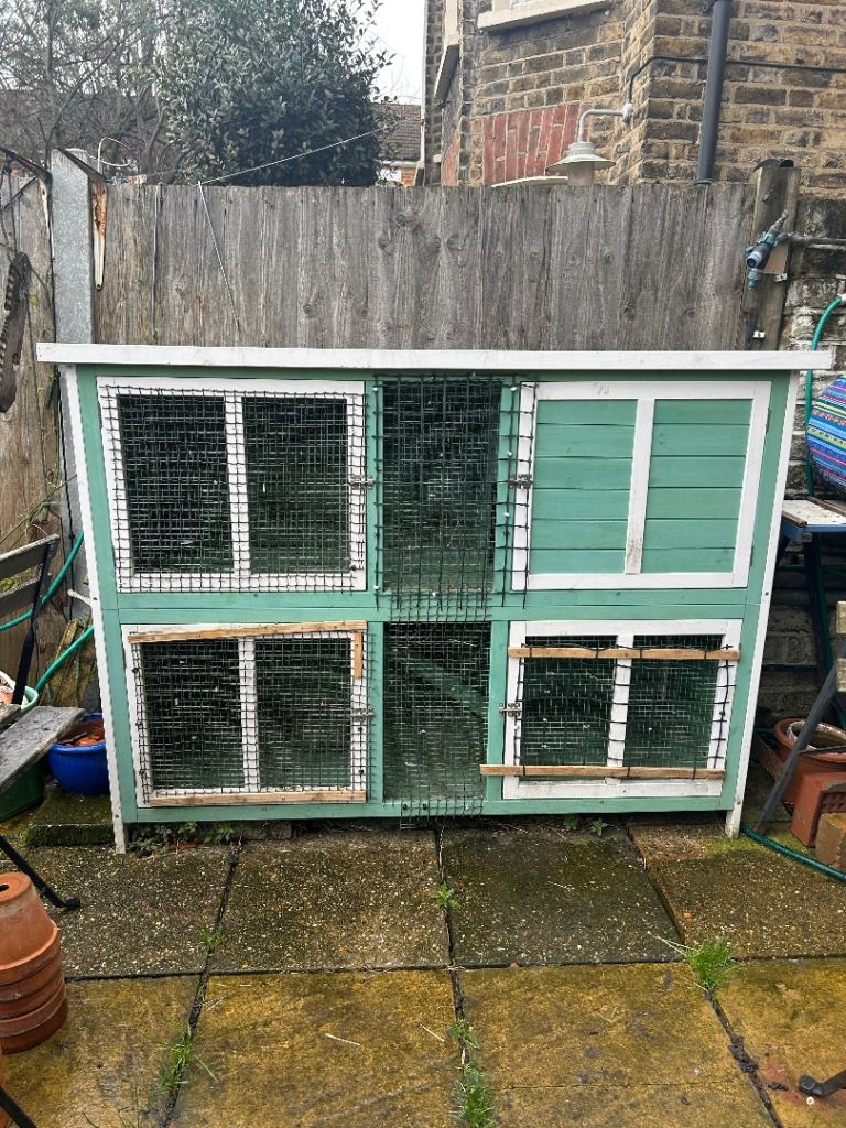 Pets at Home Bluebell Rabbit and Guinea Pig Hutch + Indoor Cage