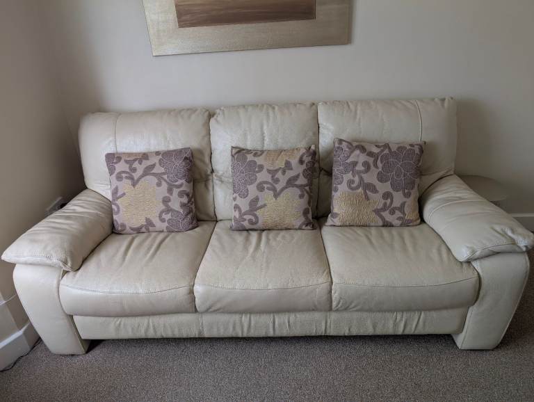 Leather Sofas 