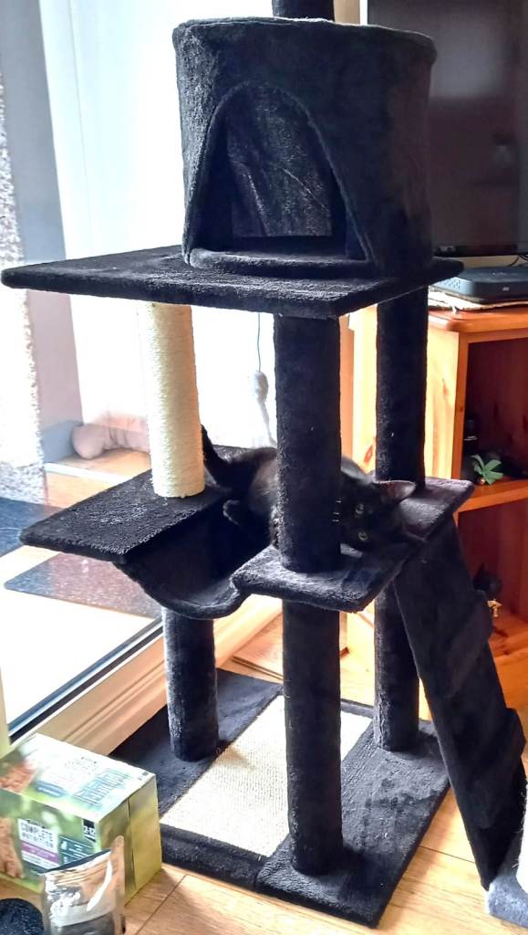 Purrshire Multi-Level Cat-Tree Play-Tower