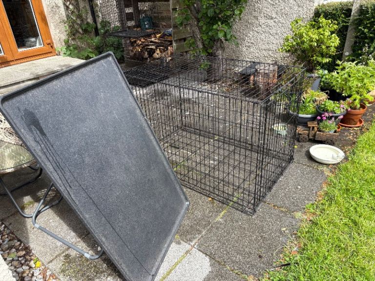Dog Crate, Extra Large (XL)