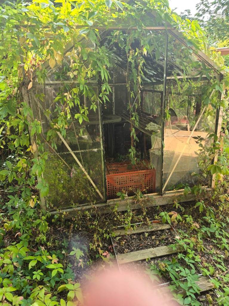 Small Garden Greenhouse - Free!!