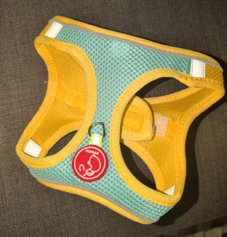 Dog harness 