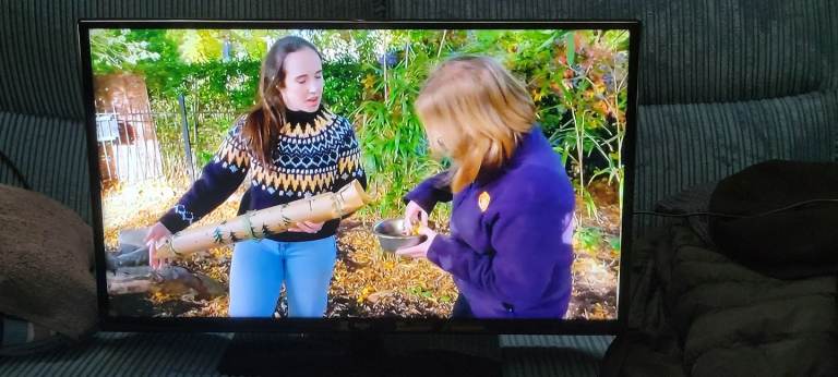 image for Bush 32 inch Smart tv