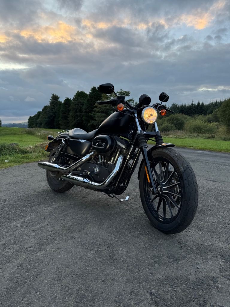 Harley-Davidson, SPORTSTER IRON, 2011, 883 (cc)