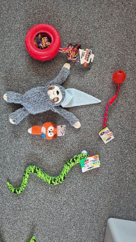 Dog toys