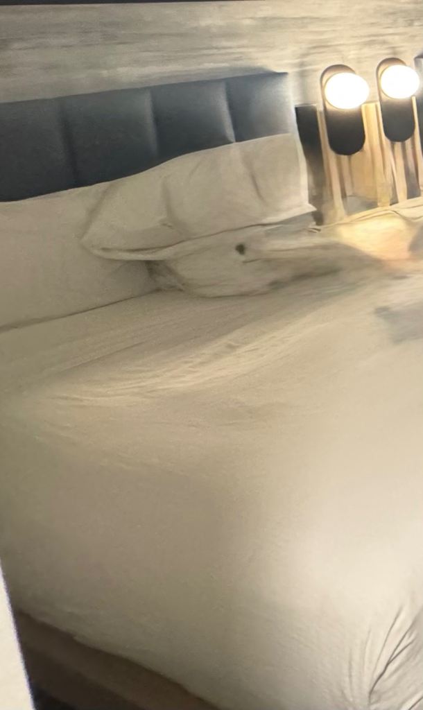 Room to rent in a flat 