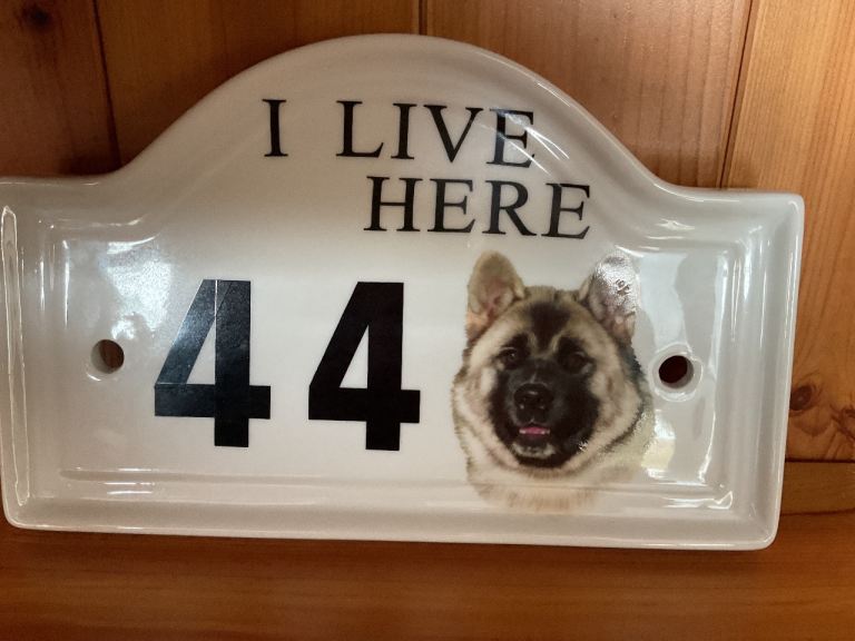 House dog plaque 😃👍