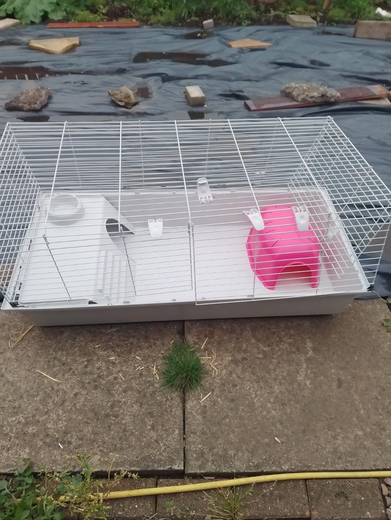 Indoor rabbit or guinea pig cage