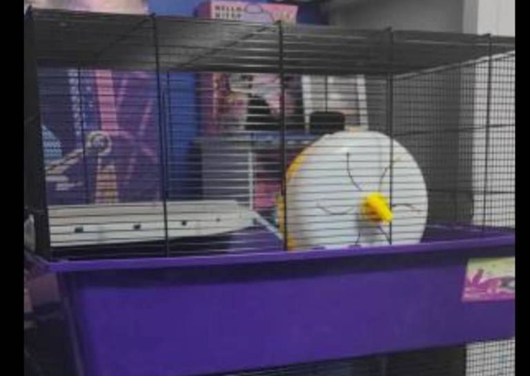 Hamster cage 