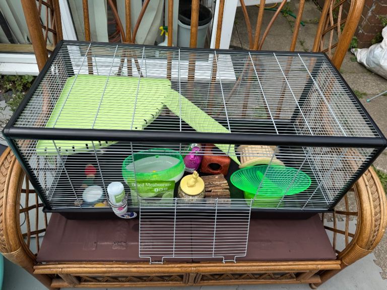 Hamster cage 
