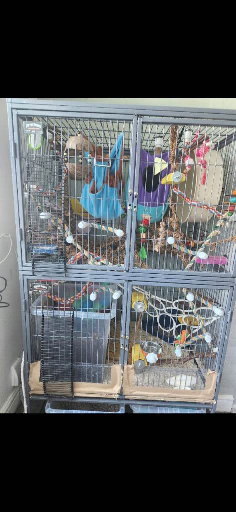 EMPTY Midwest Double Ferret Nation