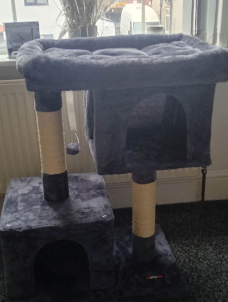 Brand new cat scratcher