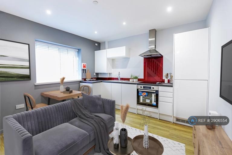 1 bedroom flat in Godfrey Road, Newport, NP20 (1 bed) (#2906554)