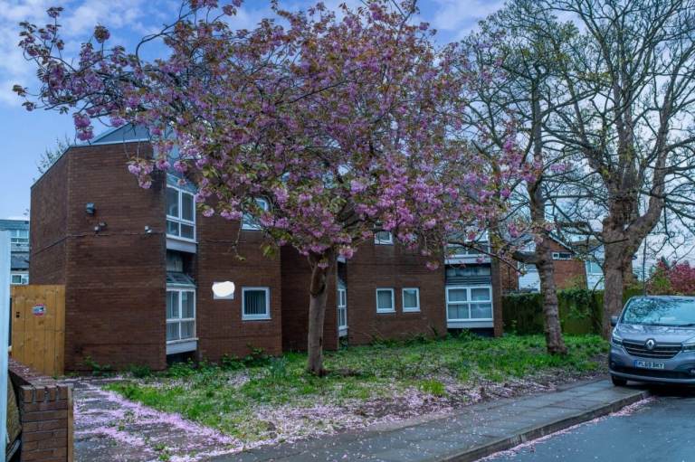 25 x 1 bed flats Company Let Liverpool L13