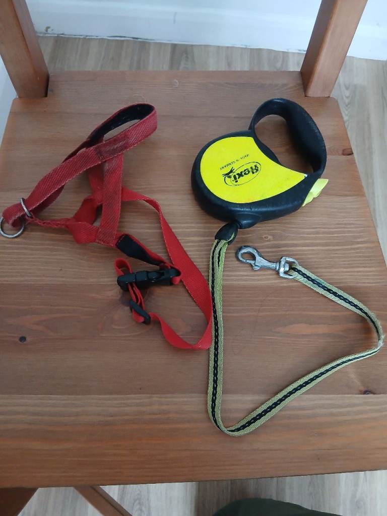 Extendable Lead and Harness