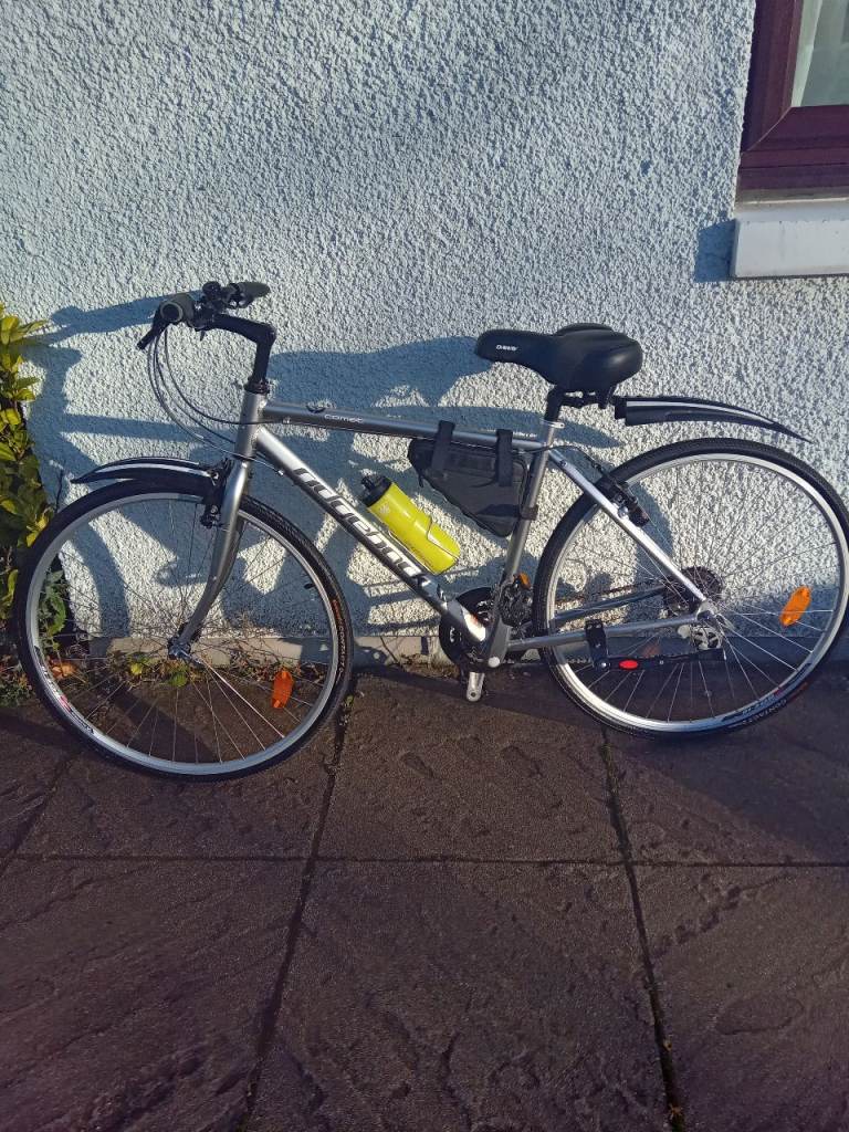 RIDGEBACK COMET RAPIED.