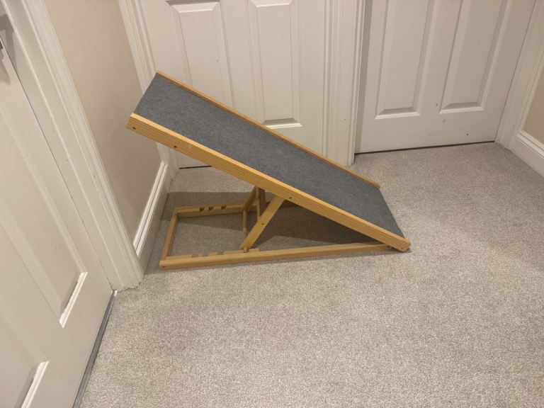 Dog pet ramp