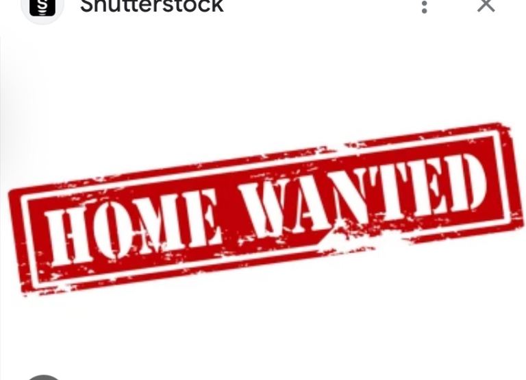 Desperate for 1/2 bedroom from January 2026