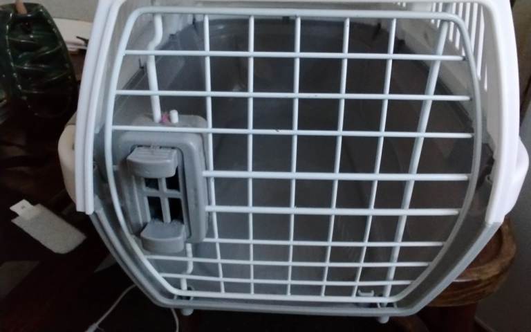 Cat Starter Kit unused