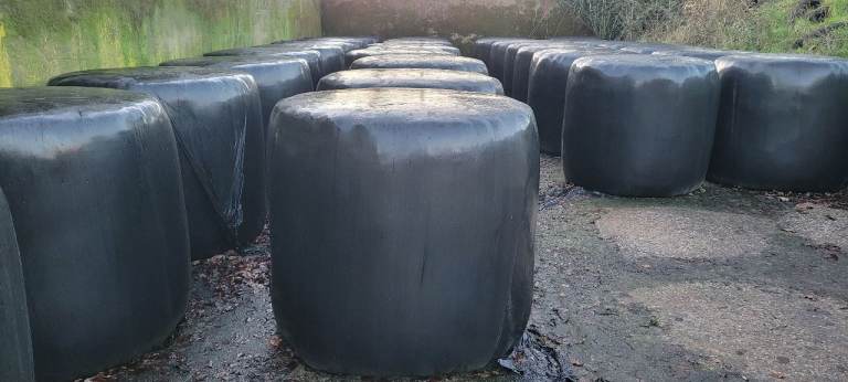 Round Big Bale Haylage 