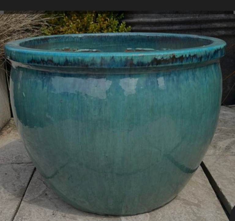 Wanted Terracotta or Ceramic plant pots