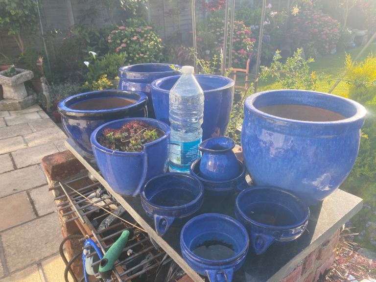 BLUE POTS X 10
