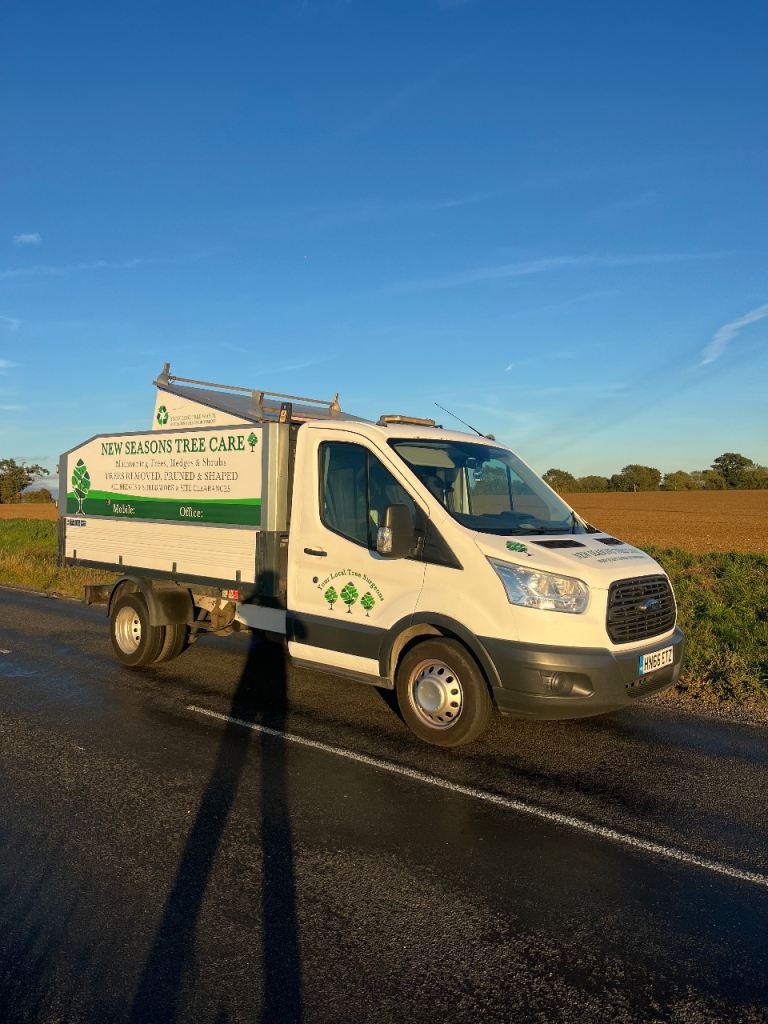 Ford transit tipper