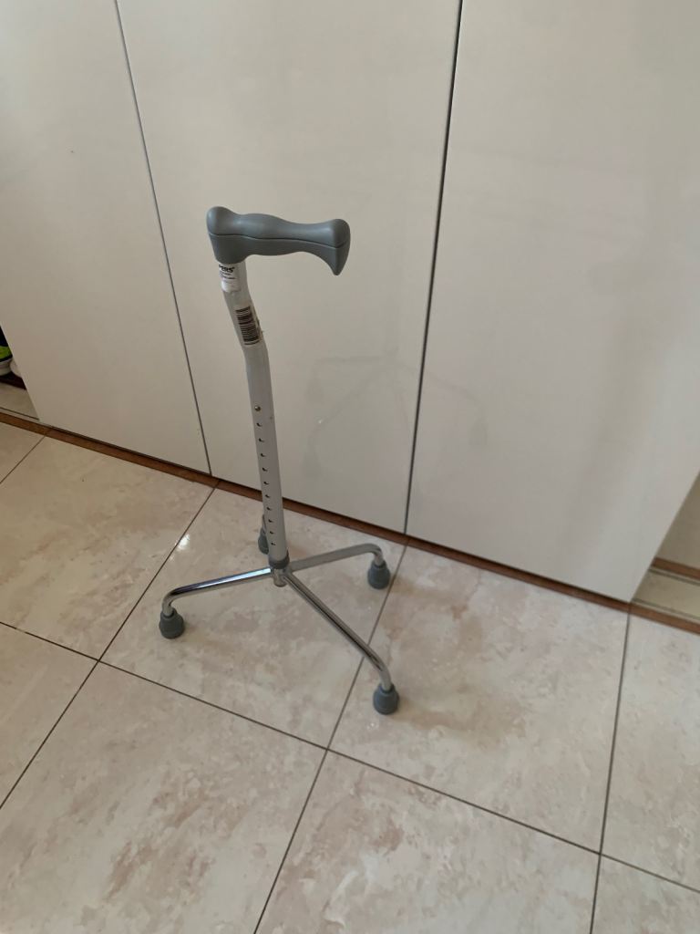 Walking Stick Quad Cane