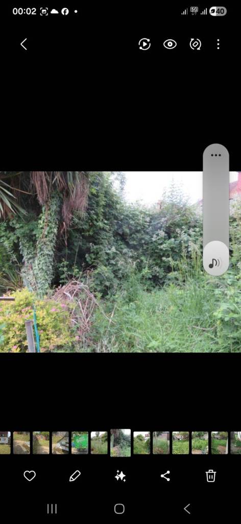 Gardening Services in London and Essex/Gardening maintenance lawn mowing cutting