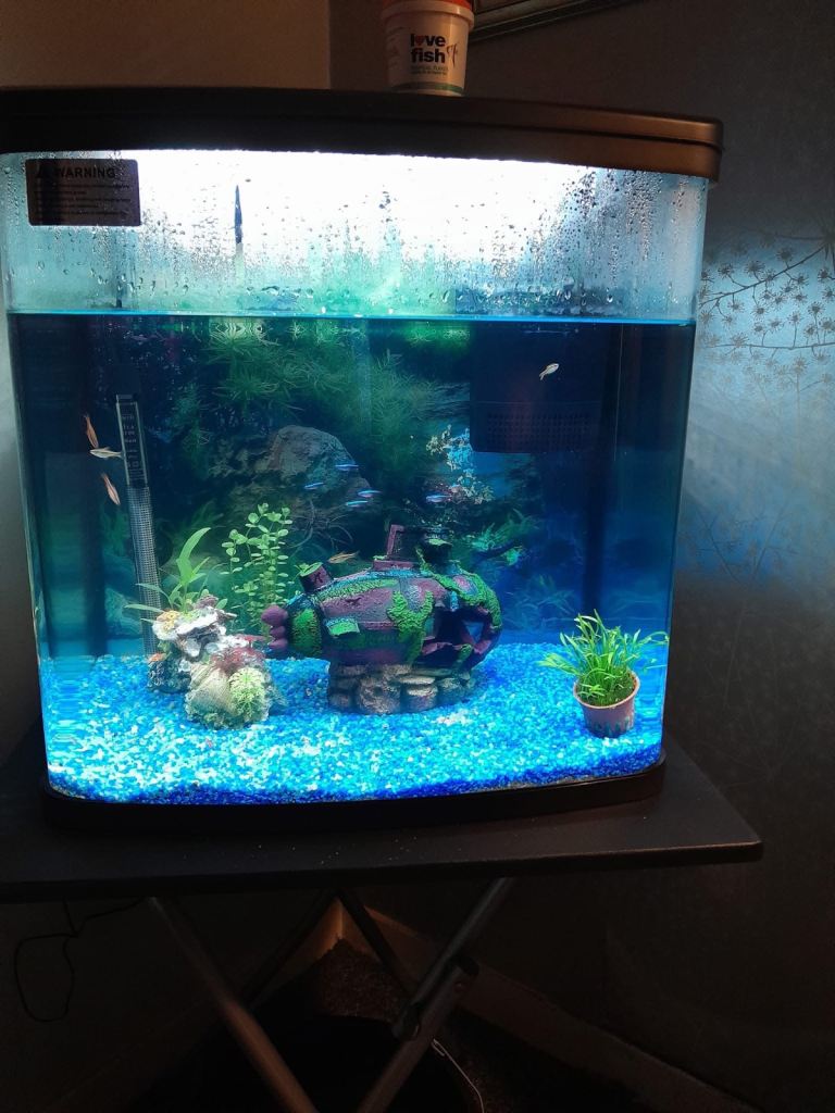 Fish Tank