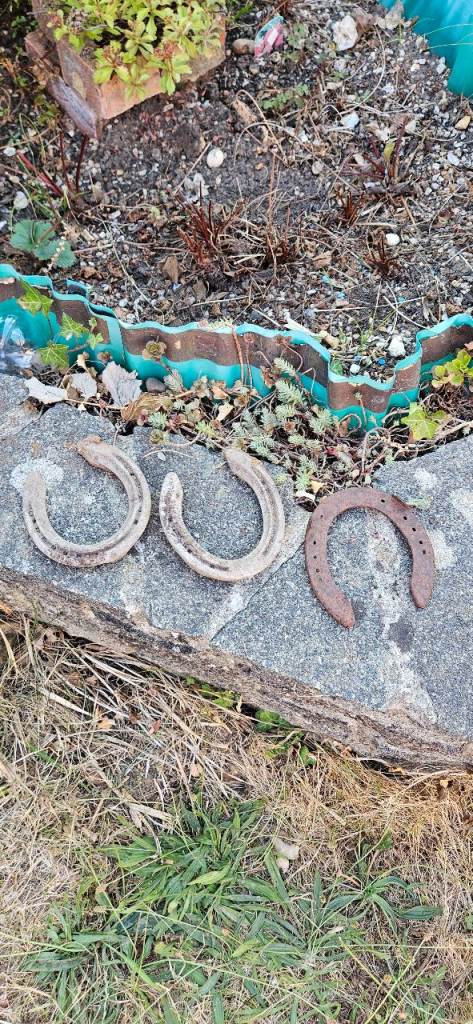 Three Used Metal Horseshoes – Rustic Decor
