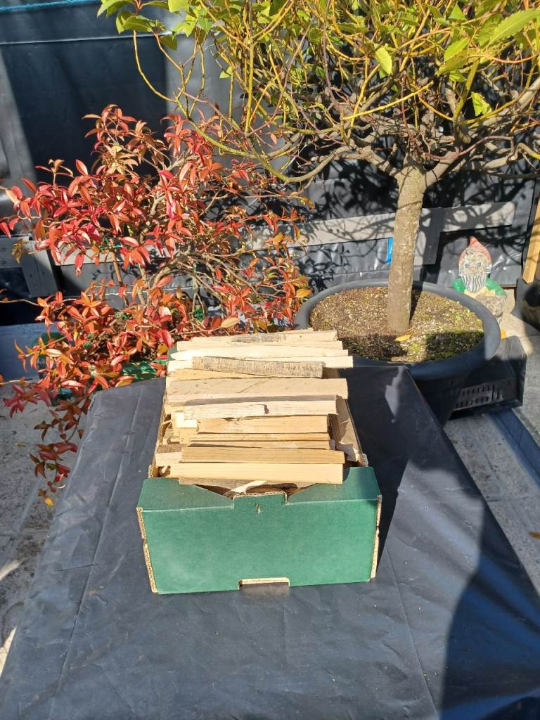 Firewood kindling 