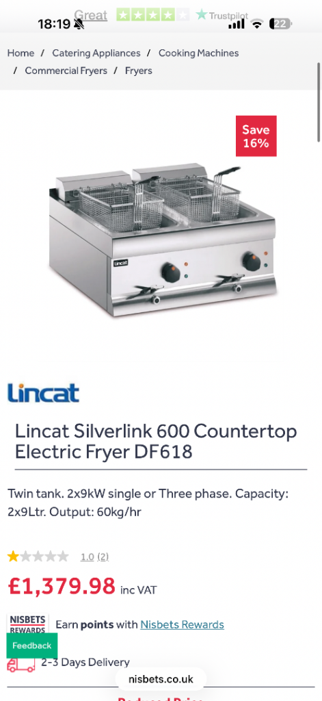 Linear double fryer 
